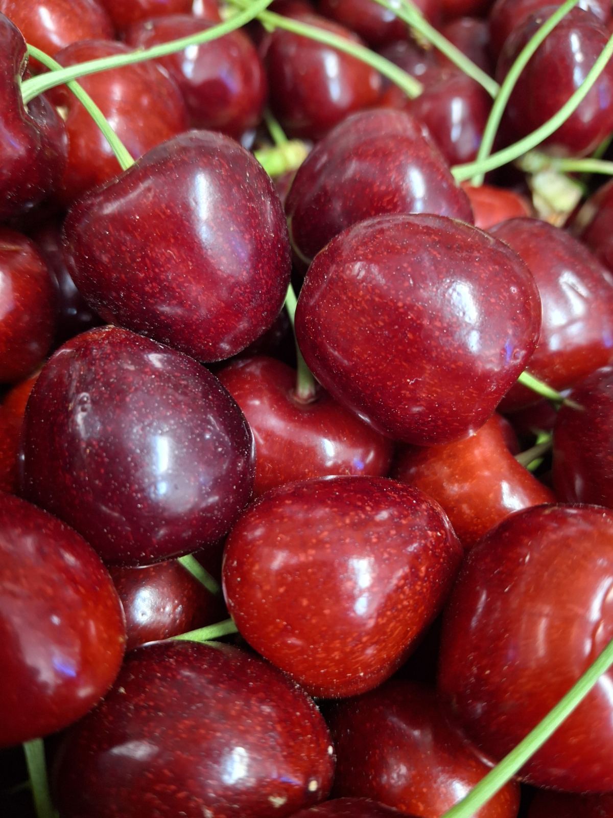 Cherries 500 g