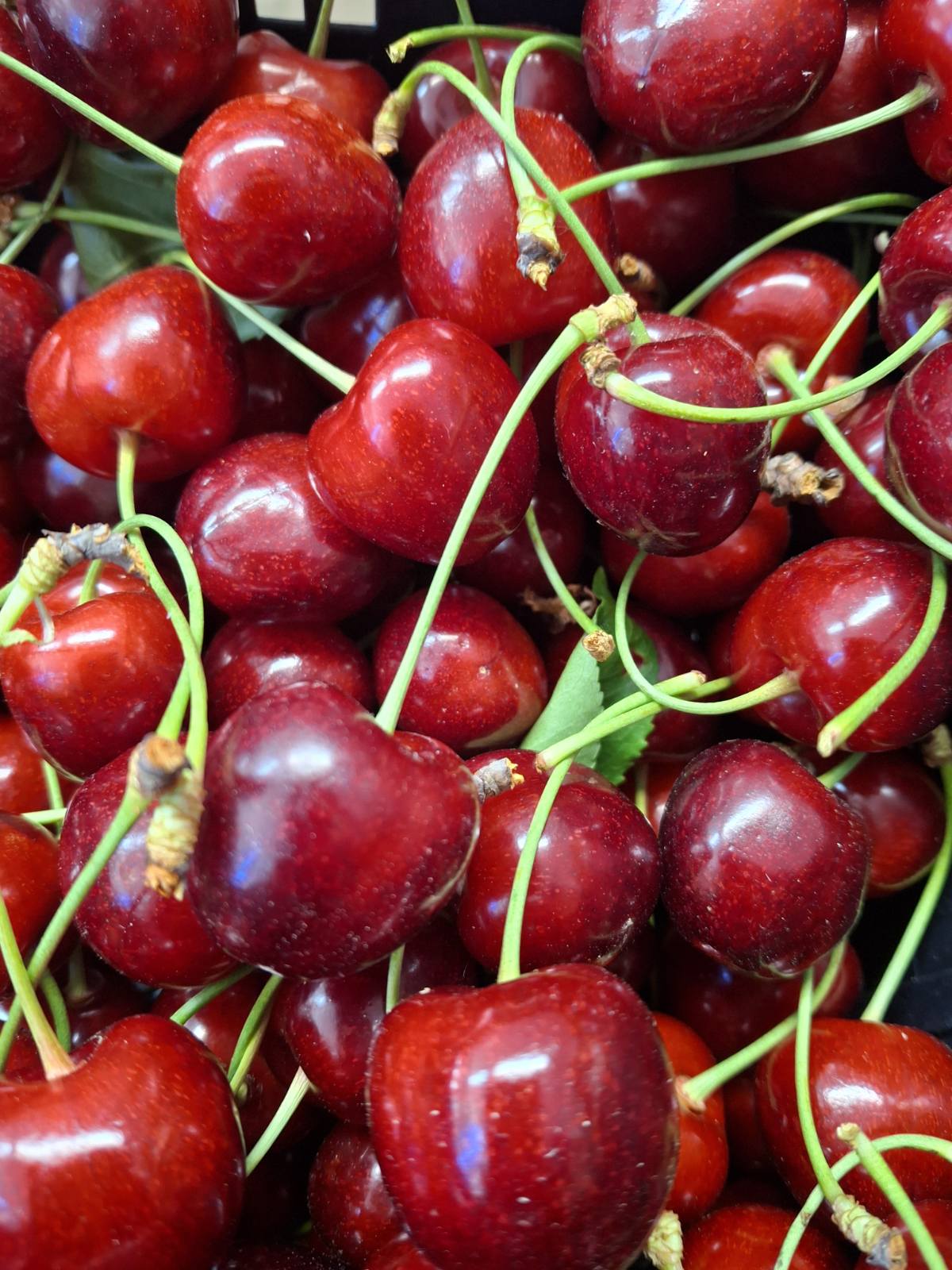Cherries 500 g